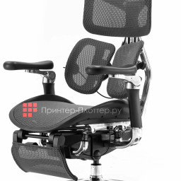 Эргономичное кресло Sihoo Doro S300 (черный)