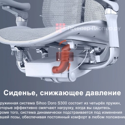 Эргономичное кресло Sihoo Doro S300 (черный)