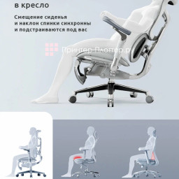 Эргономичное кресло Sihoo Doro S300 (черный)