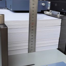 Биговщик Sunfung SF-30A