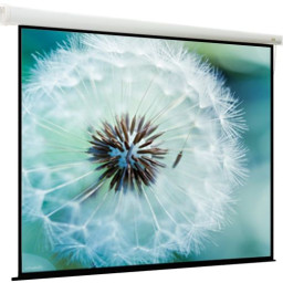 Экран ViewScreen Breston EBR-16108, 16:10, 166