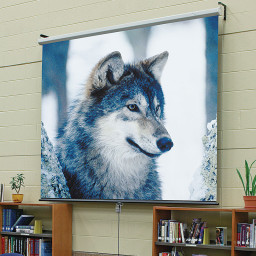 Экран Draper Luma, 16:9, 83