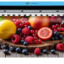 Сольвентный принтер LINEA Sol A100 1601 (1 голова)