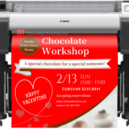 Струйный плоттер Canon imagePROGRAF TM-355