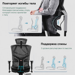 Эргономичное кресло Sihoo M90C (черный)