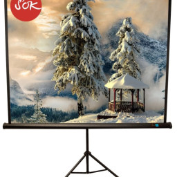 Экран Sakura Cinema Triscreen 1:1, 111