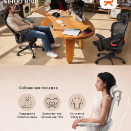 Эргономичное кресло Sihoo B100 (серый)