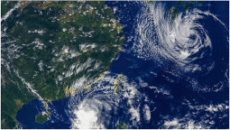 Дисплей LG 55SVM5F-H