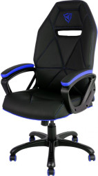 Профессиональное игровое кресло ThunderX3 TGC10-BB (сине-черный)