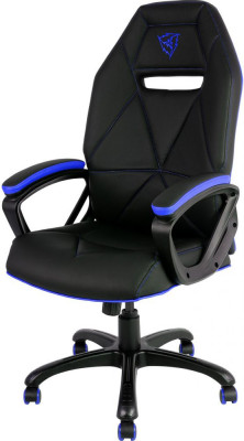 Профессиональное игровое кресло ThunderX3 TGC10-BB (сине-черный)