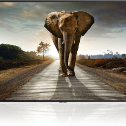 Дисплей Sharp 8M-B120C