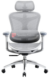 Эргономичное кресло Sihoo Doro C300 (белый)