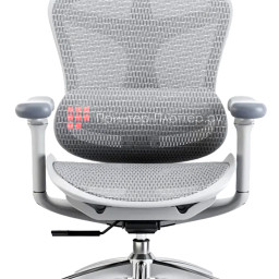 Эргономичное кресло Sihoo Doro C300 (белый)