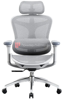 Эргономичное кресло Sihoo Doro C300 (белый)
