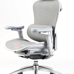 Эргономичное кресло Sihoo Doro C300 (белый)