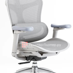 Эргономичное кресло Sihoo Doro C300 (белый)
