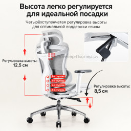Эргономичное кресло Sihoo Doro C300 (белый)