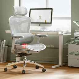 Эргономичное кресло Sihoo Doro C300 (белый)