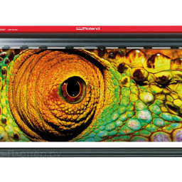 Сольвентный плоттер Roland VersaEXPRESS RF-640 (8 цветов)