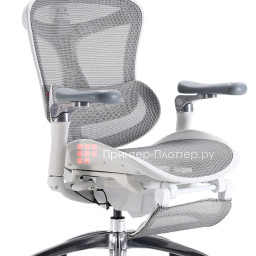 Эргономичное кресло Sihoo Doro C300 Pro V2 (белый)