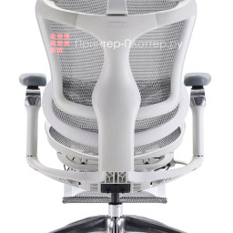 Эргономичное кресло Sihoo Doro C300 Pro V2 (белый)