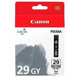 Картридж Canon PGI-29GY