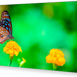 Дисплей NEC MultiSync UN492VS