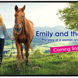 Дисплей Sharp PN-HW431