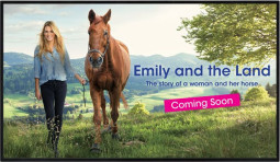 Дисплей Sharp PN-HW431