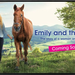 Дисплей Sharp PN-HW431