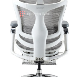 Эргономичное кресло Sihoo Doro C300 Pro (белый)