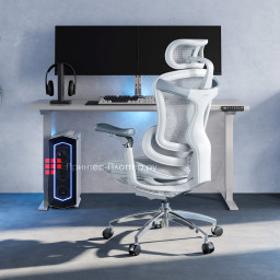 Эргономичное кресло Sihoo Doro C300 Pro (белый)
