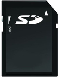 Ricoh SD-карта для печати Netware Printing Type M10